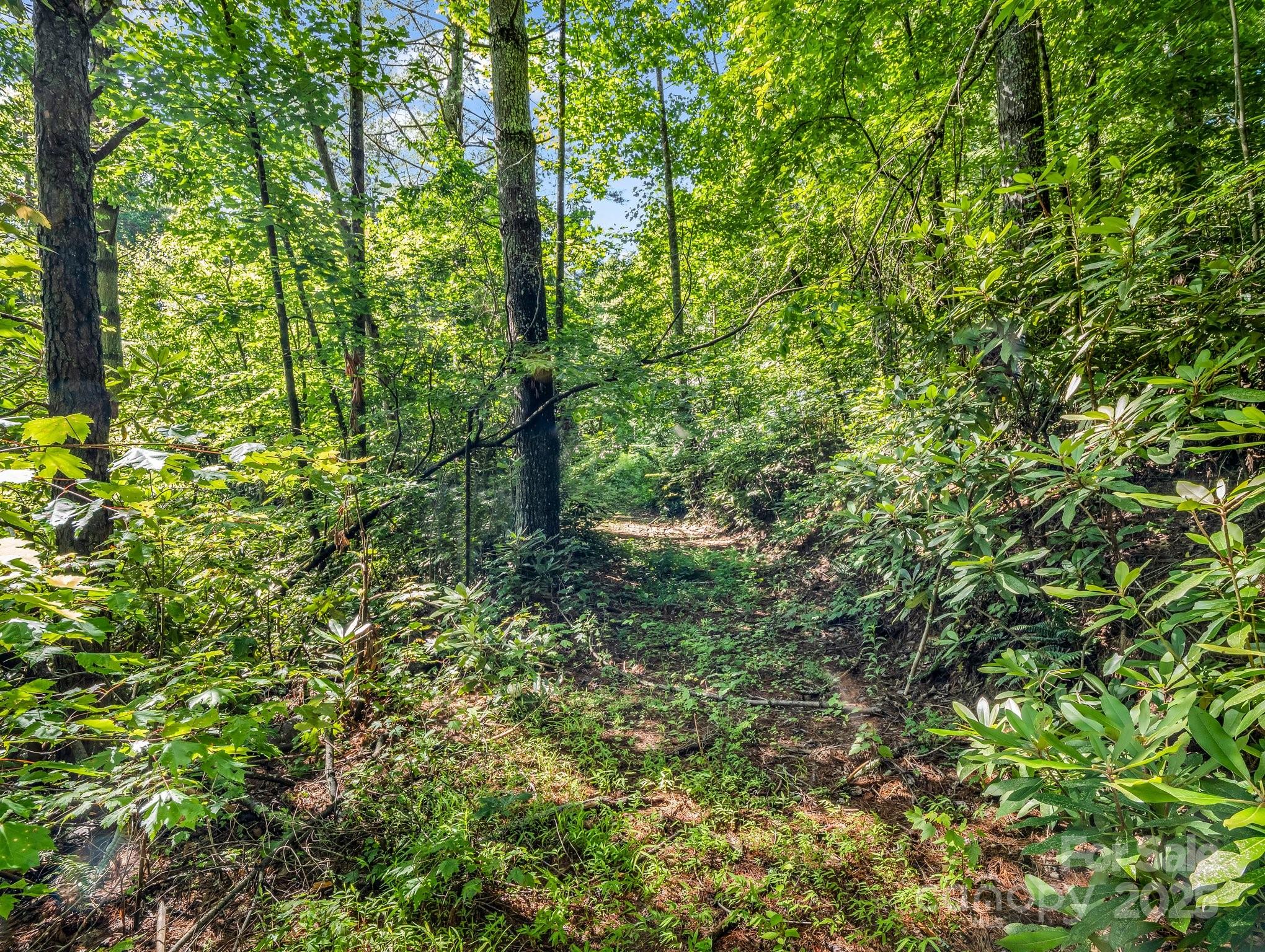 TBD Climbing Road