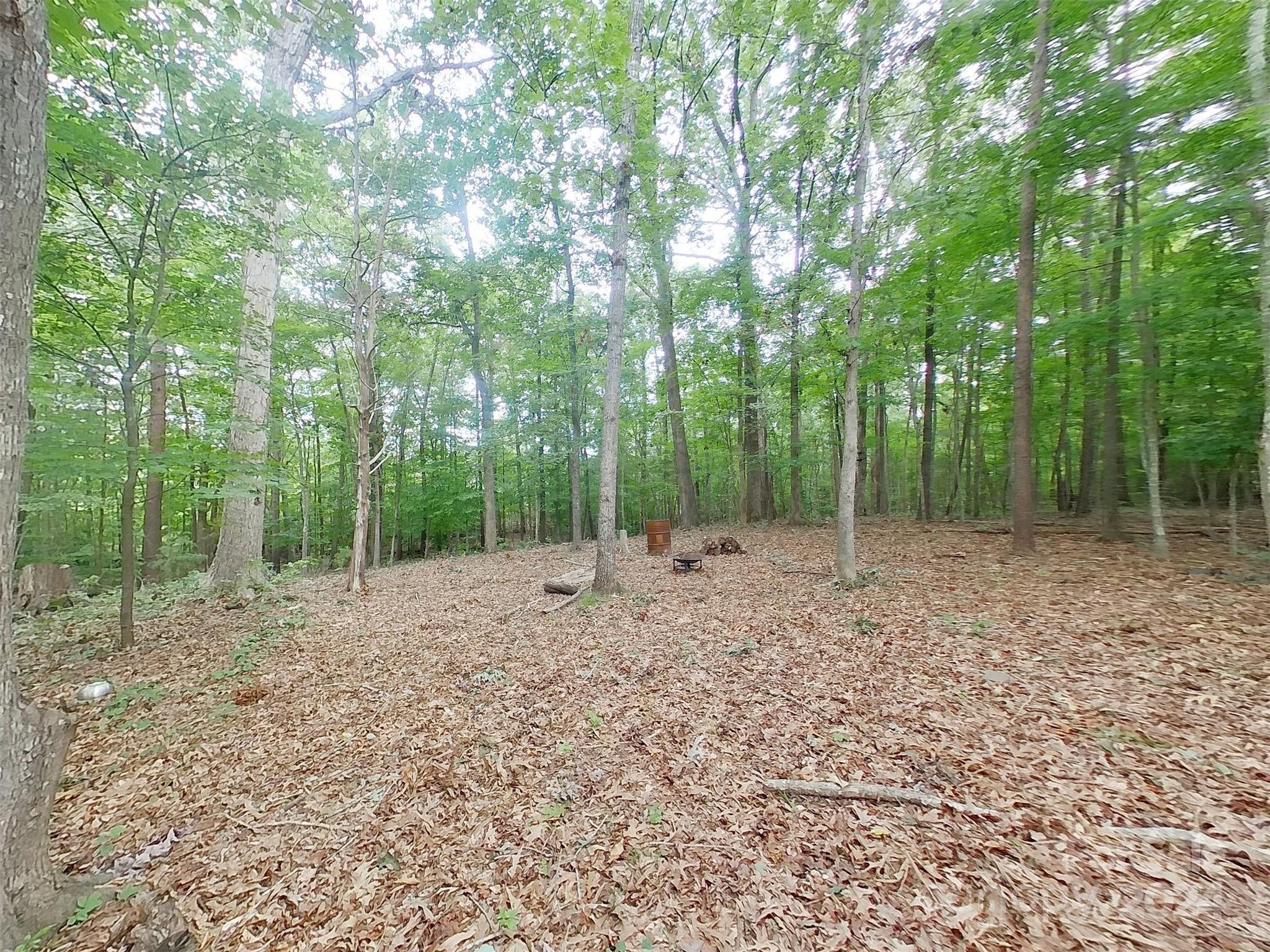 Springsteen Plantation - Residential