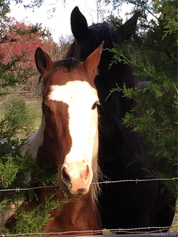 Carrington Ridge - Residential