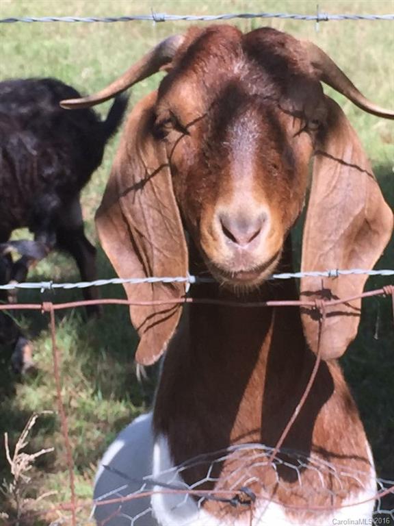 Carrington Ridge - Residential