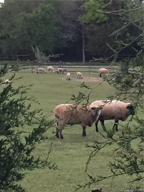 Carrington Ridge - Residential
