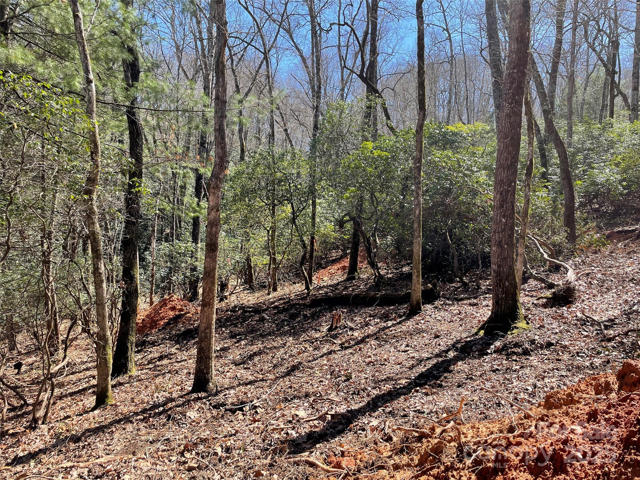 Lot 85-R N Running Deer Trail