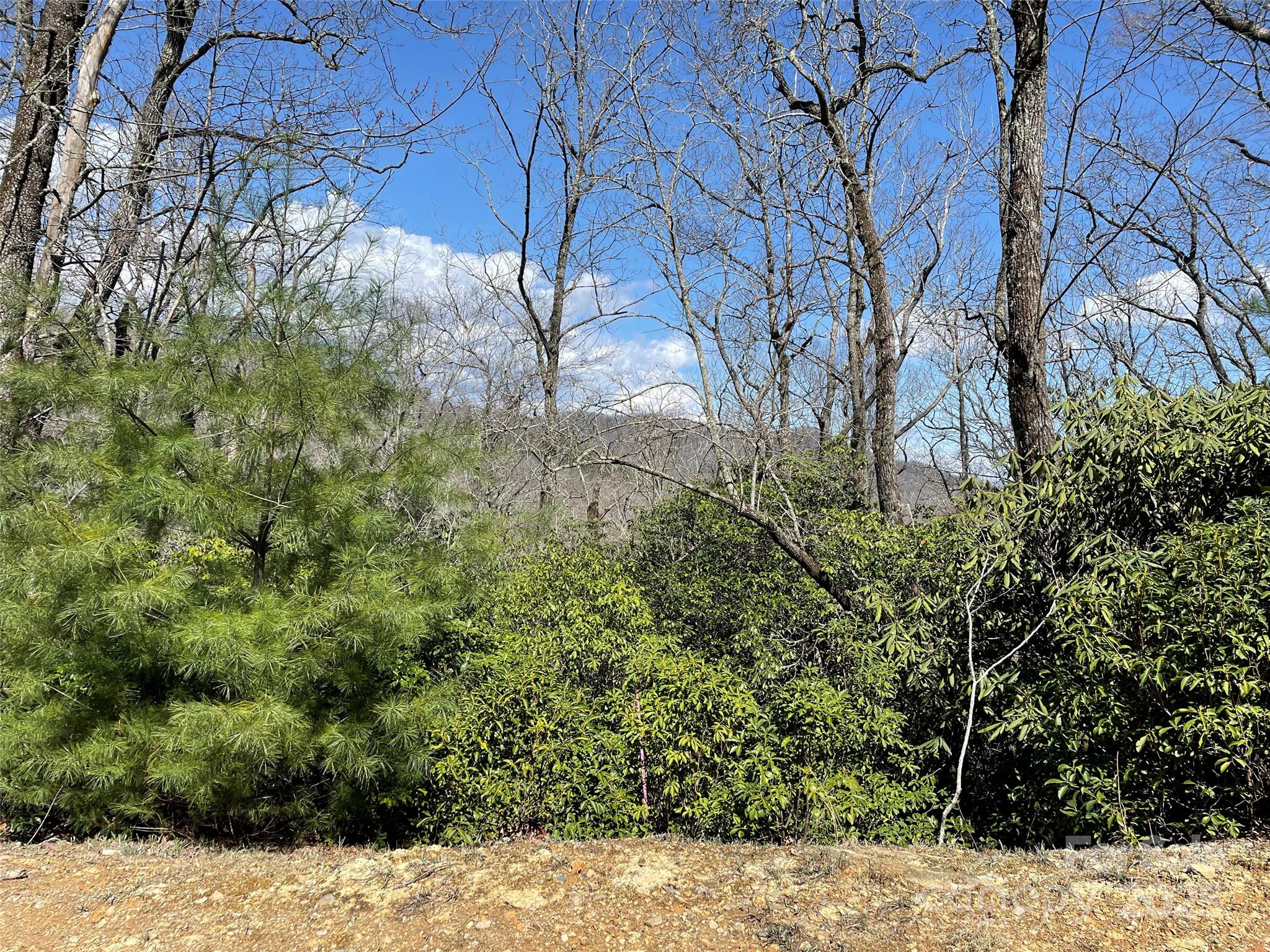 Lot 85-R N Running Deer Trail