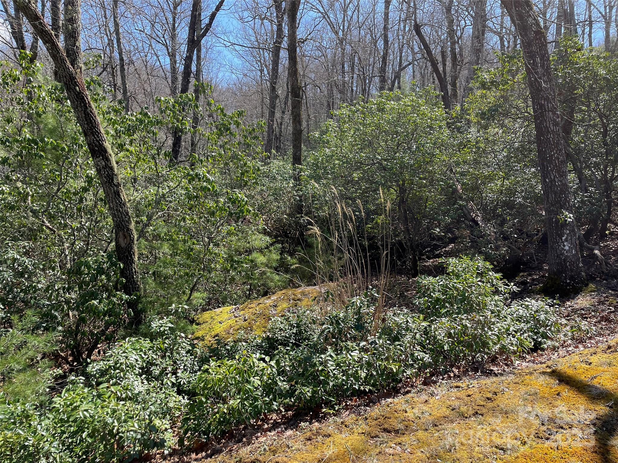Lot 85-R N Running Deer Trail