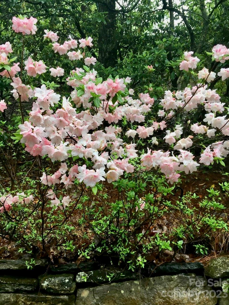 Deer Run - Residential