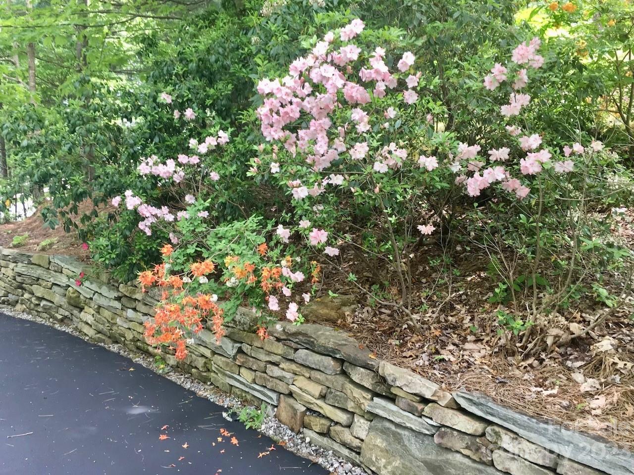 Deer Run - Residential