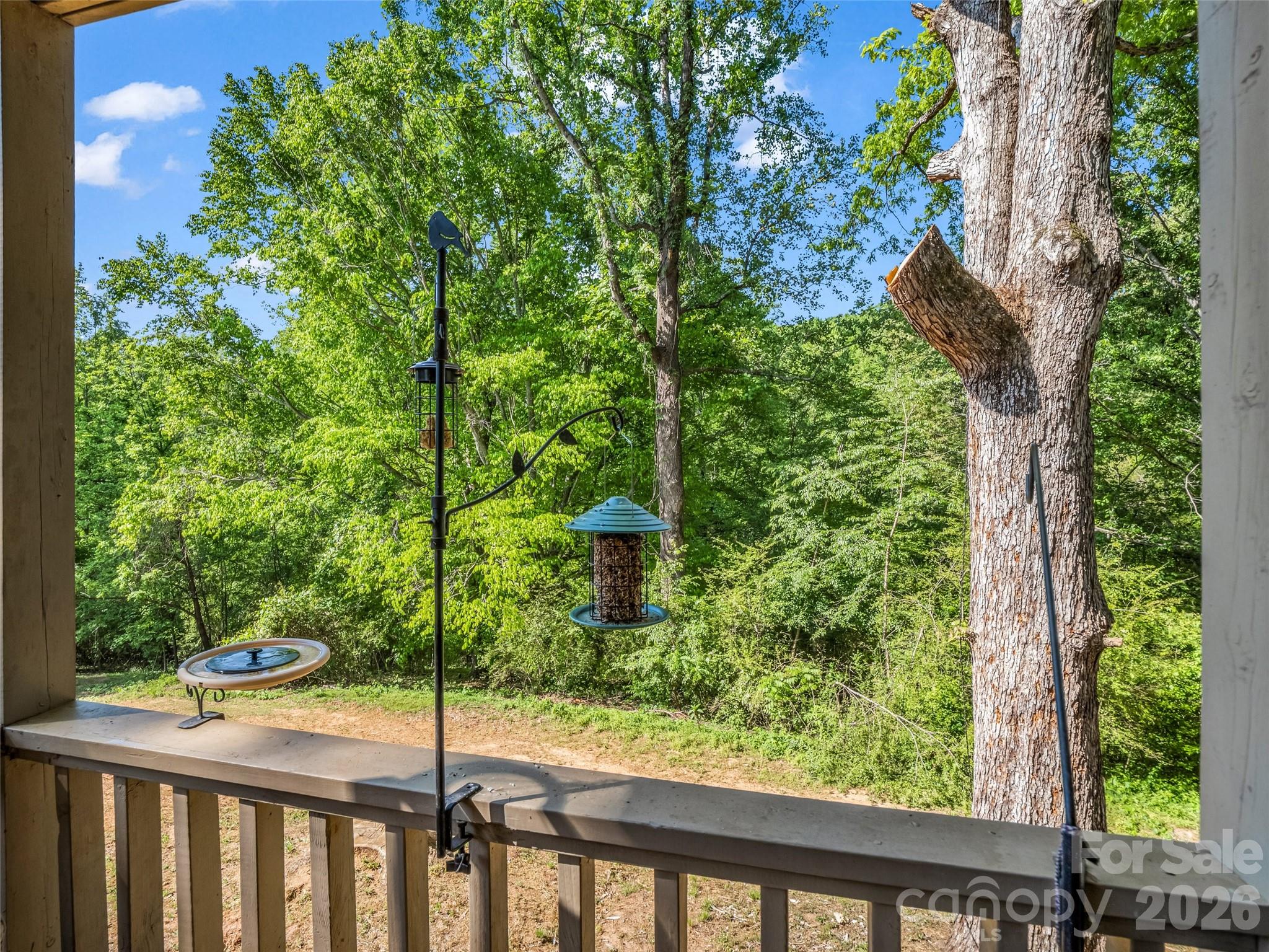 Rumbling Bald on Lake Lure - Residential