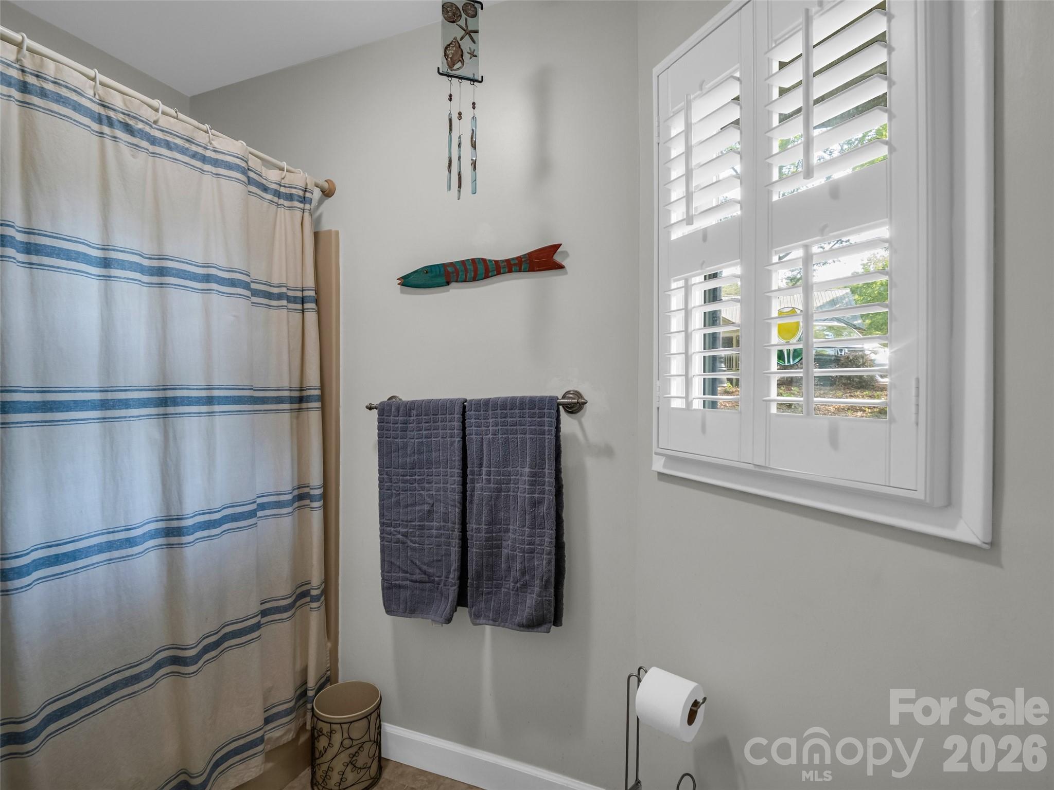 Rumbling Bald on Lake Lure - Residential