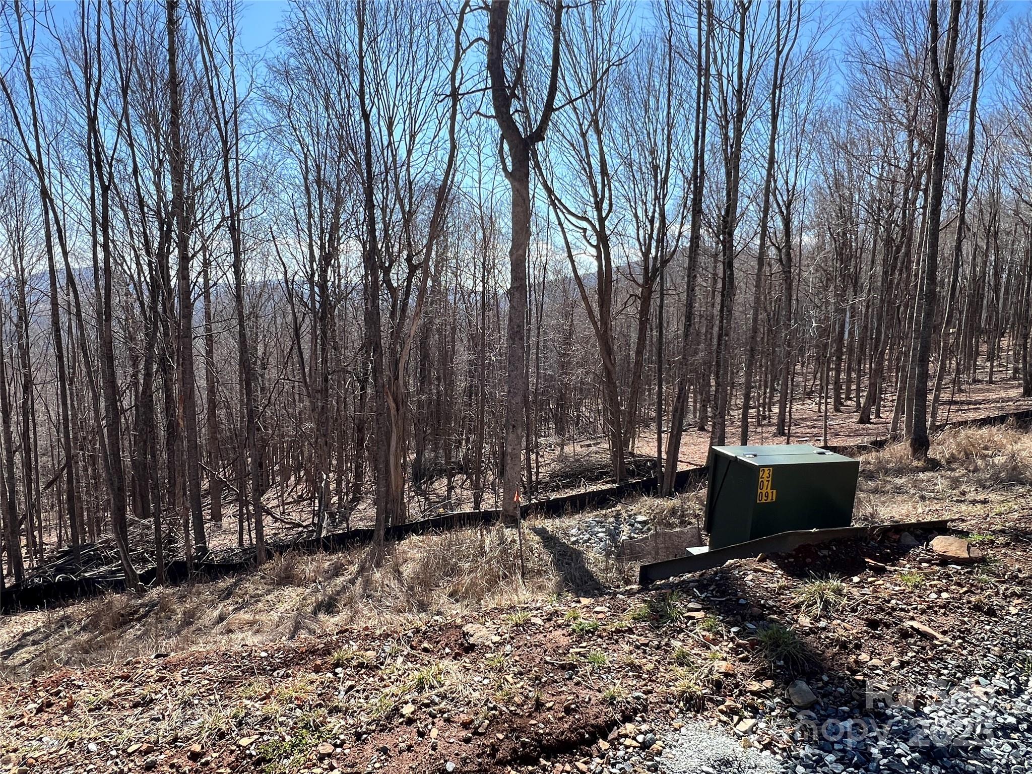 Poplar Forest - Land