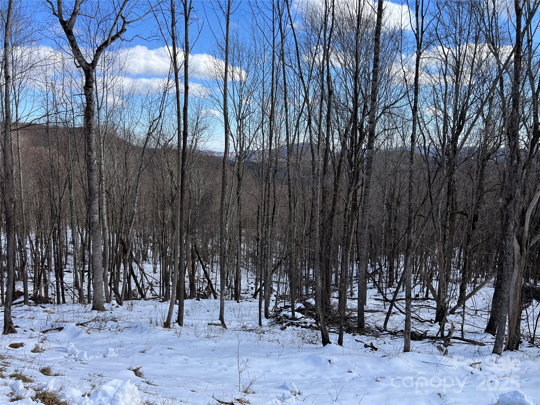 Poplar Forest - Land