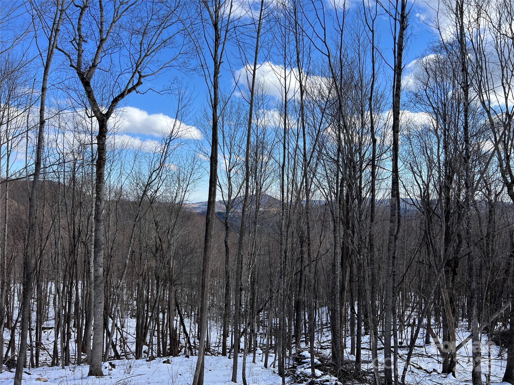 TBD (Lot 69) Poplar Forest Drive