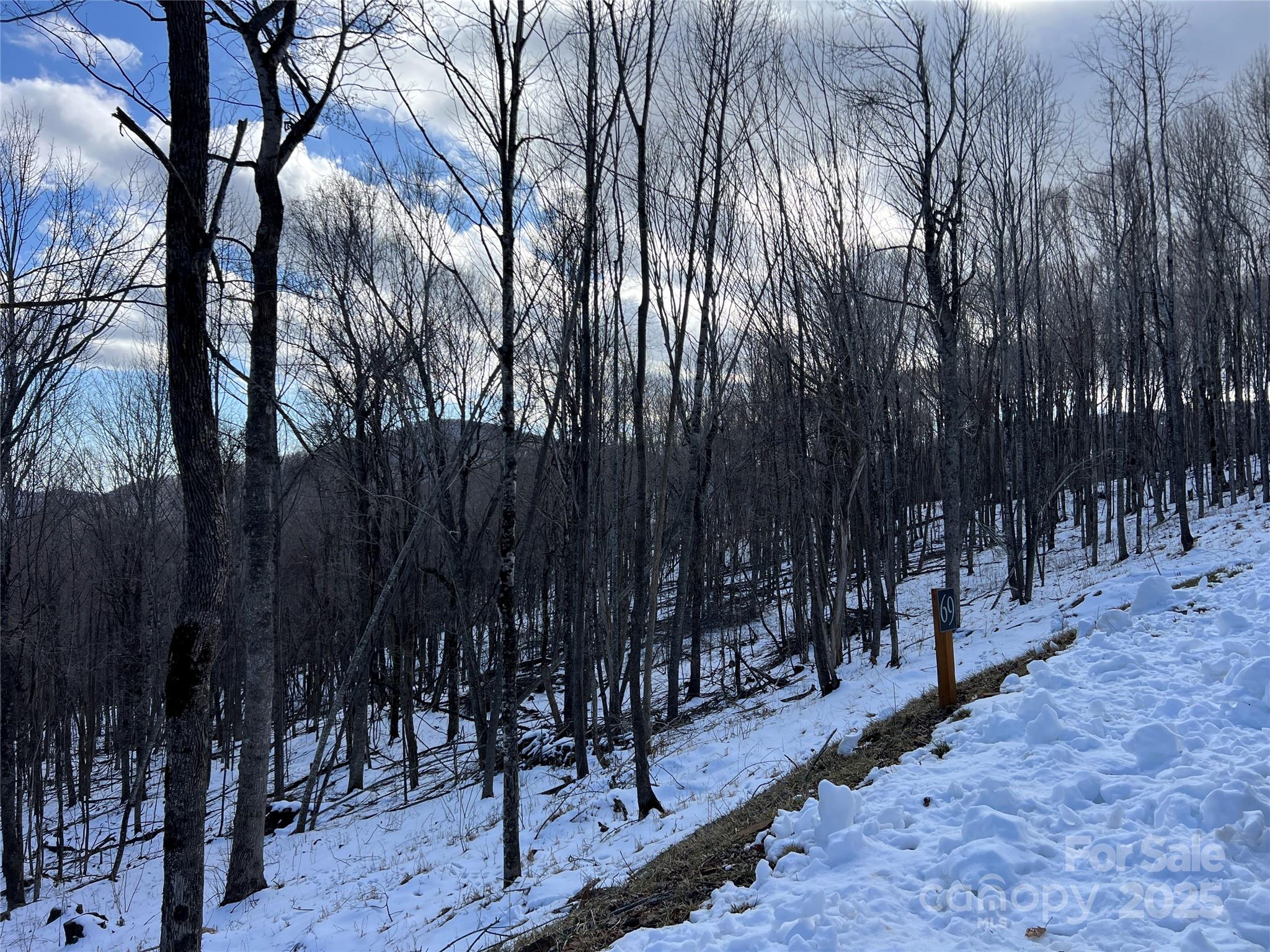 TBD (Lot 69) Poplar Forest Drive