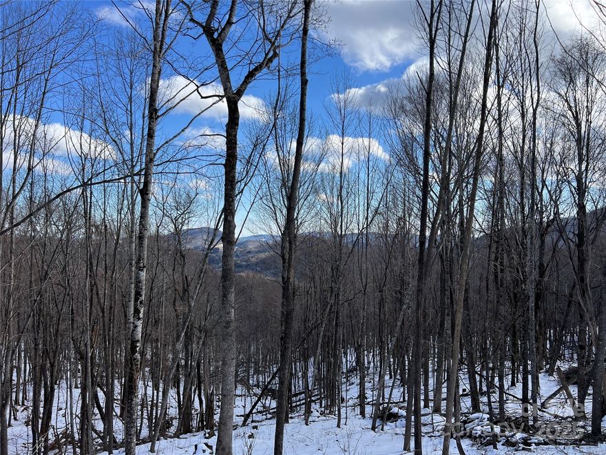 Escape to the North Carolina High Country to one of the newest communities right outside of Boone. Located less than 10 minutes to downtown Boone, 20 minutes to Blowing Rock, 20 minutes to the New River, and 30 minutes to Sugar Mtn the location cannot be beaten. NEW 3-BEDROOM SEPTIC PERMIT in place. This corner lot, with access from the top and lower side, offers long- range layered views, underground utilities, fiber optic internet, and a gated entrance. The topography offers the ability to build a home with a walk-out basement with great views as well. Views have been opened so you can get a great idea of what you will see when you build your mountain home. Enjoy nearby hiking at Elk Knob State Park, kayaking and fishing on the South Fork of the New River, and mountain biking at Rocky Knob mountain bike park. 3 Boone-based craft breweries are nearby along with a plethora of local restaurants. The Poplar Forest community is located 2 hours from Charlotte.