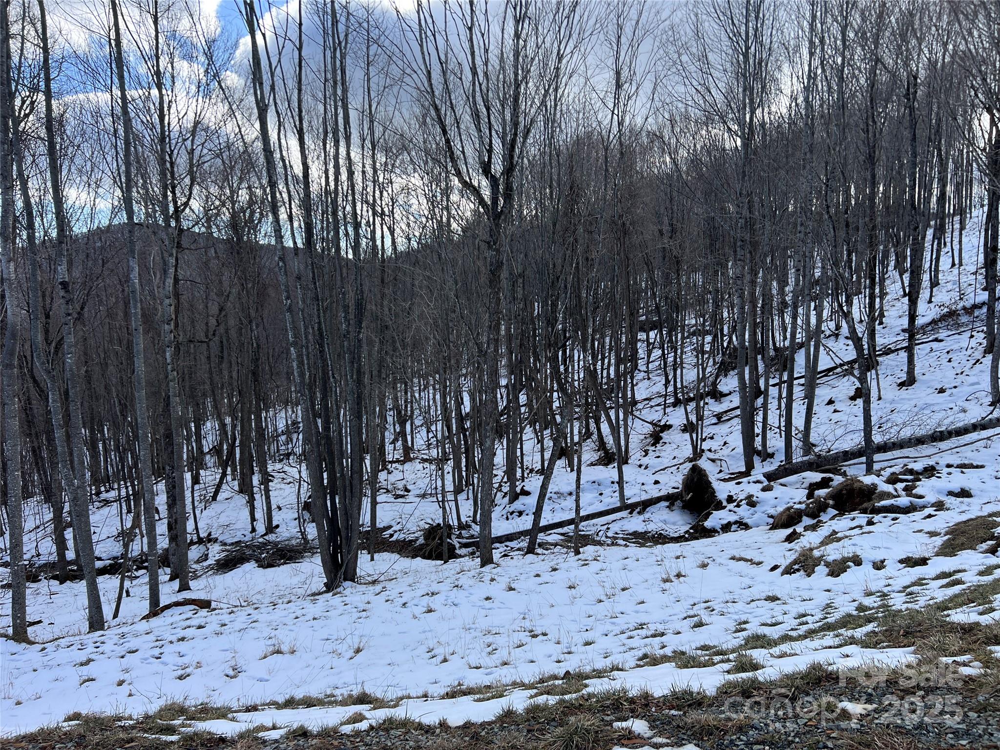 Poplar Forest - Land