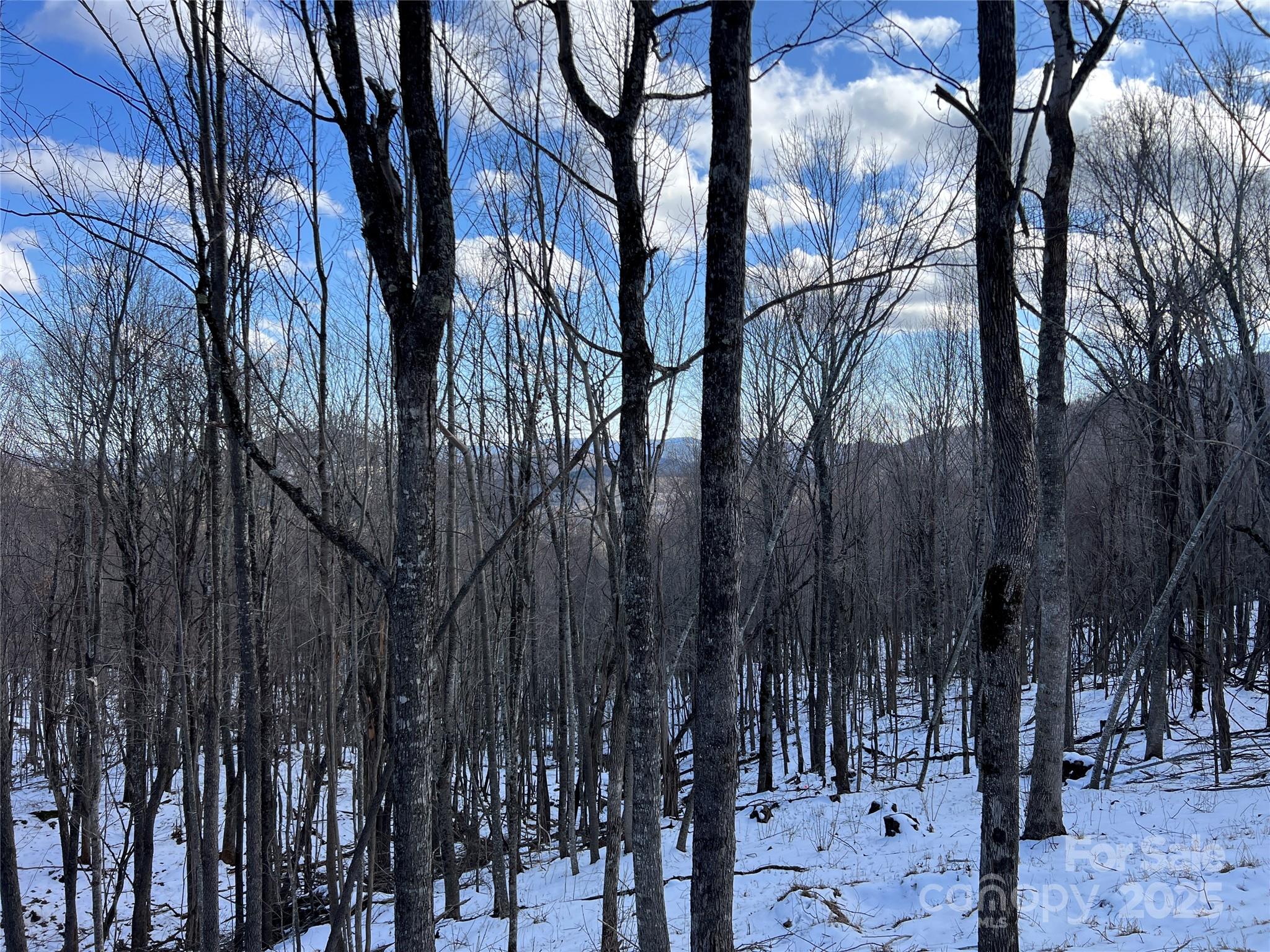 Poplar Forest - Land