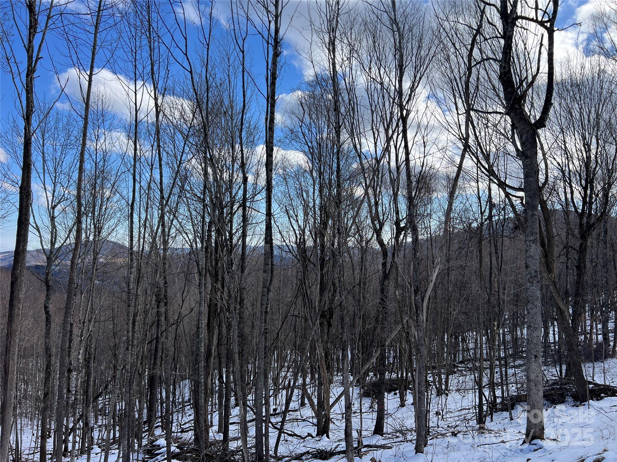 TBD (Lot 69) Poplar Forest Drive