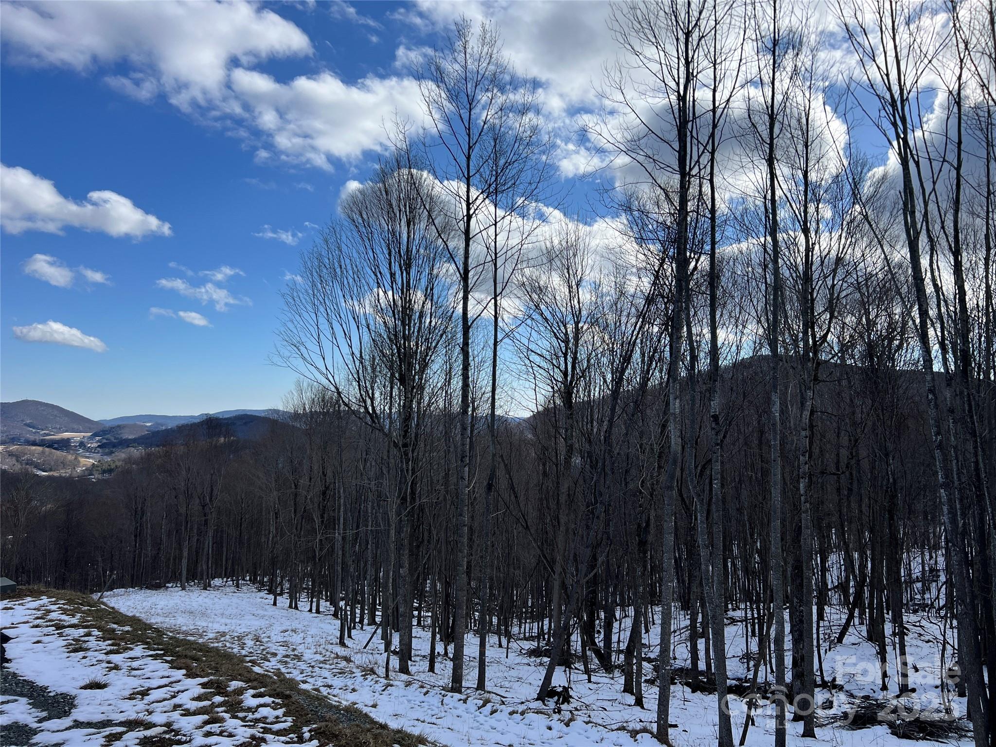 Poplar Forest - Land