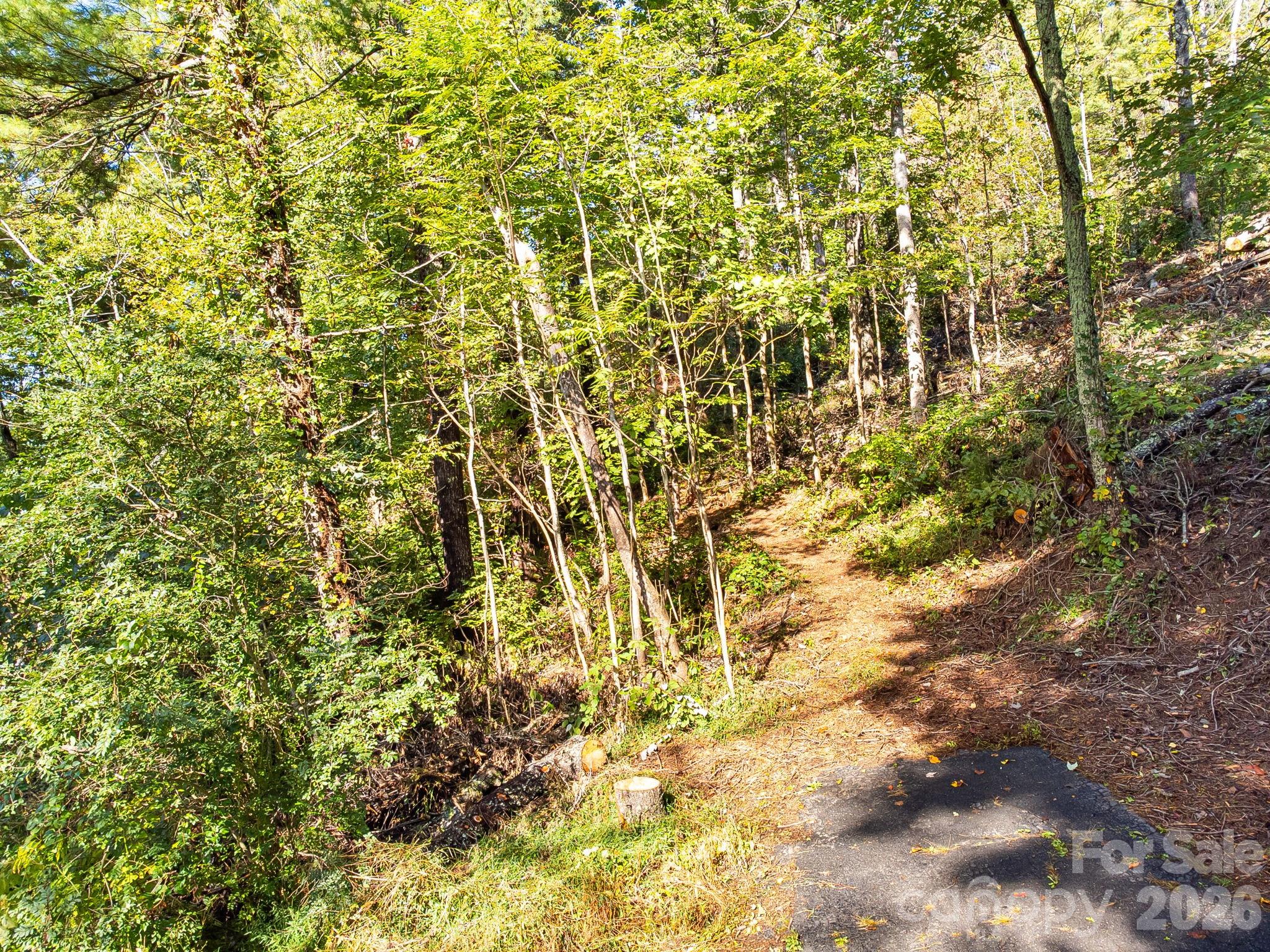 99999 Beaverbrook Road 2