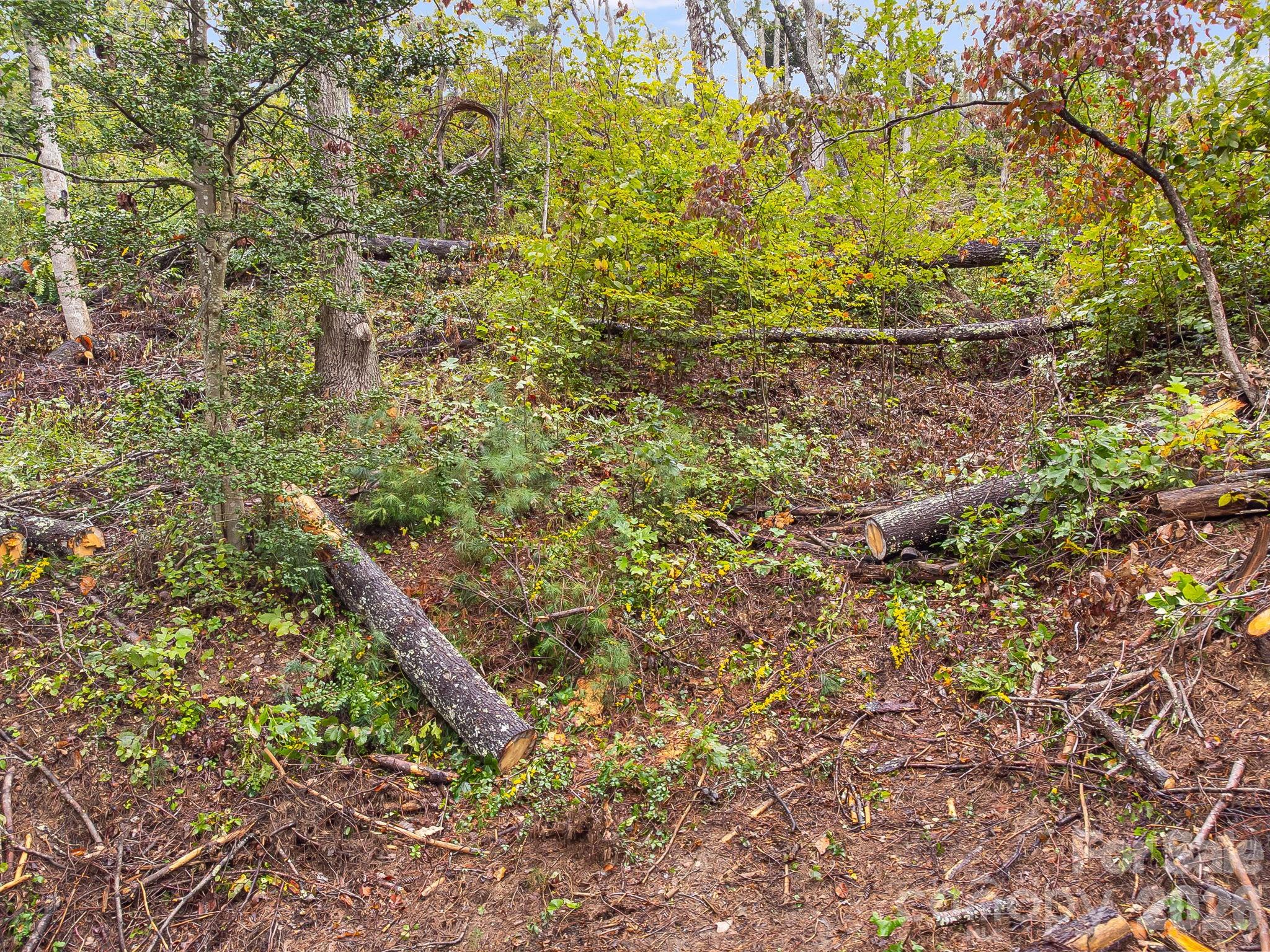 99999 Beaverbrook Road 2