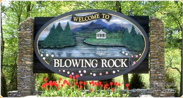 Poplar Forest - Land