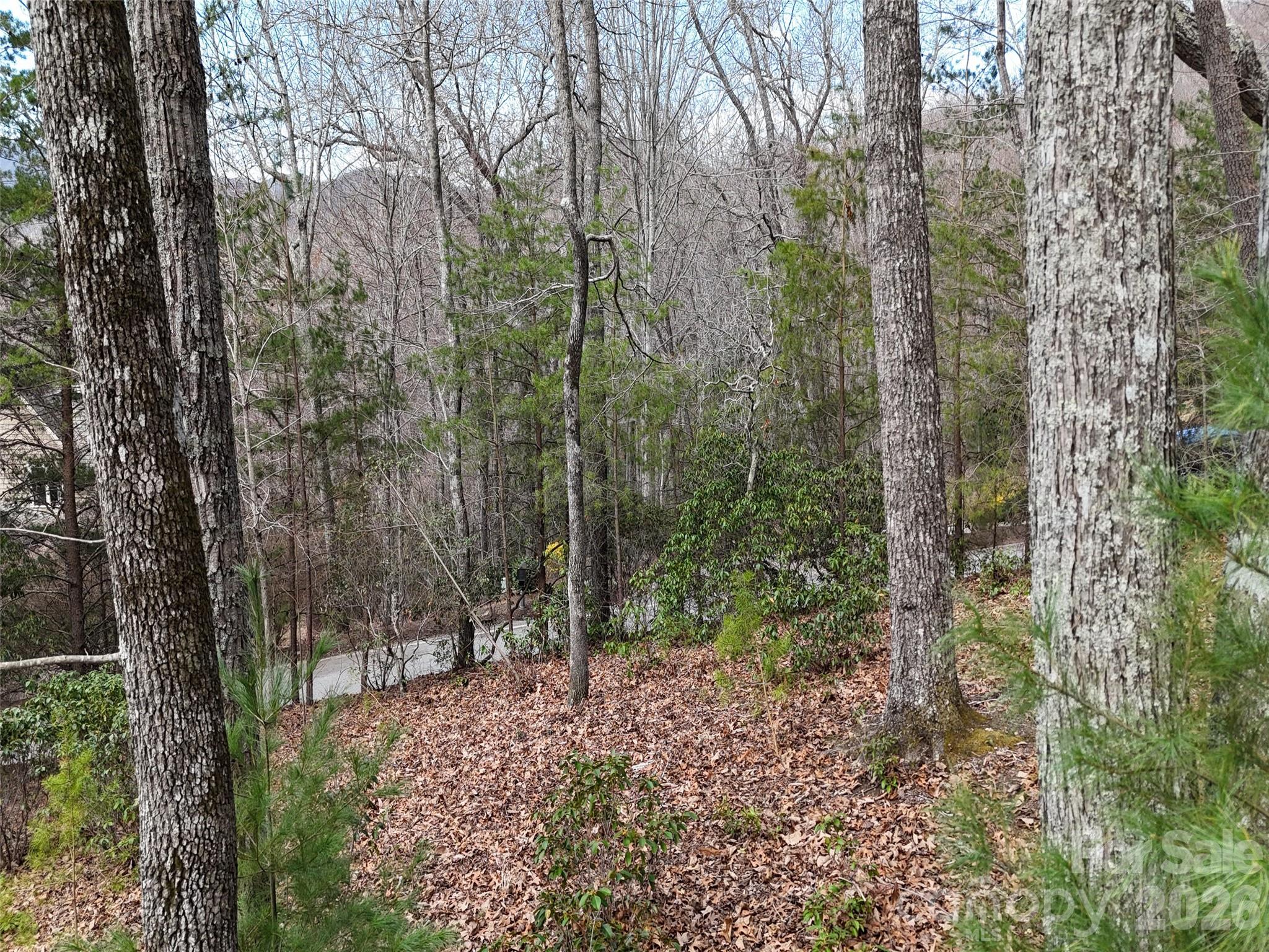 The Cliffs At Walnut Cove - Land