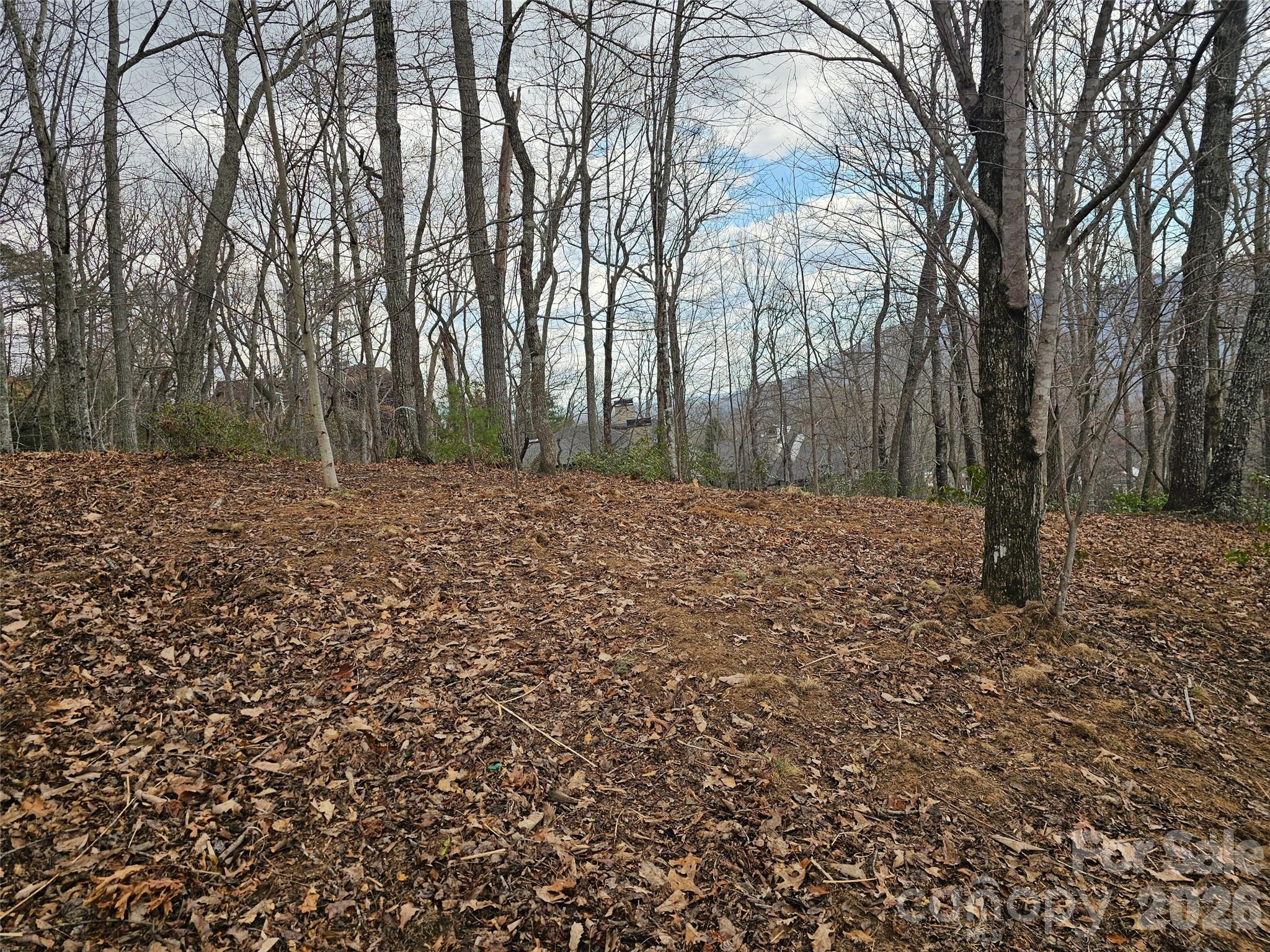 The Cliffs At Walnut Cove - Land