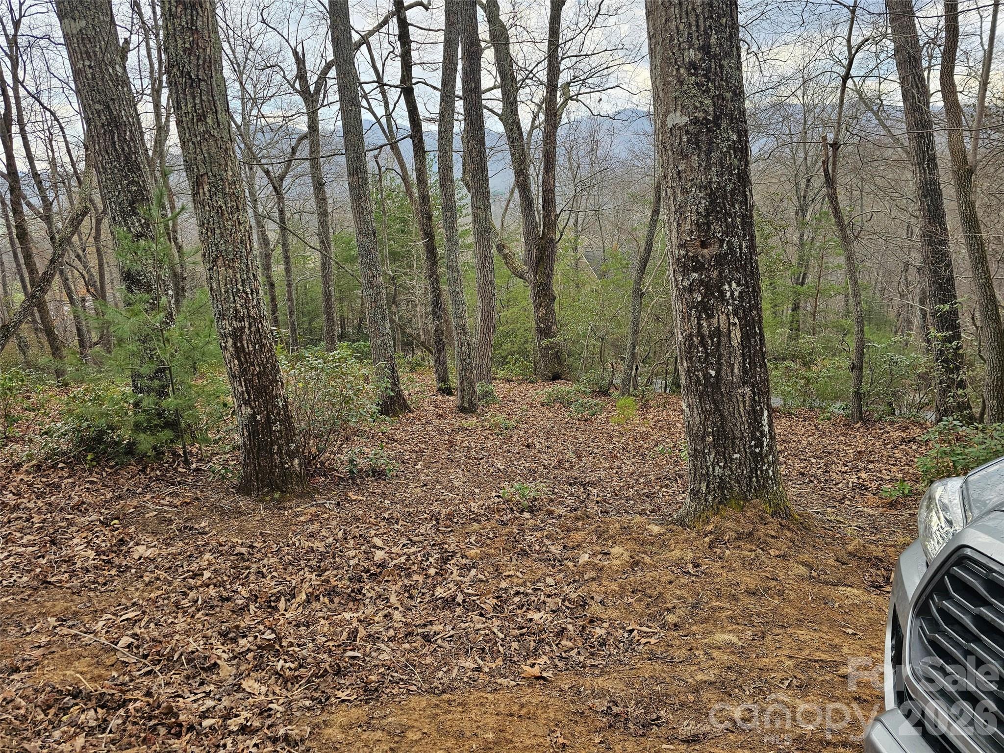 The Cliffs At Walnut Cove - Land