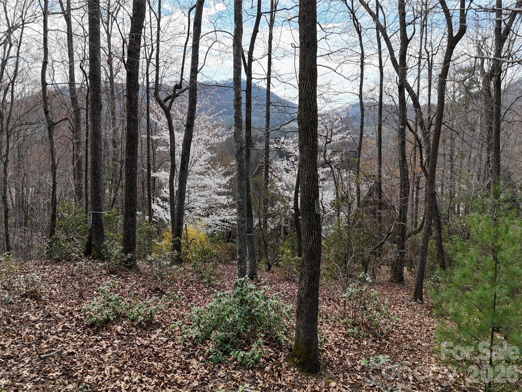 The Cliffs At Walnut Cove - Land