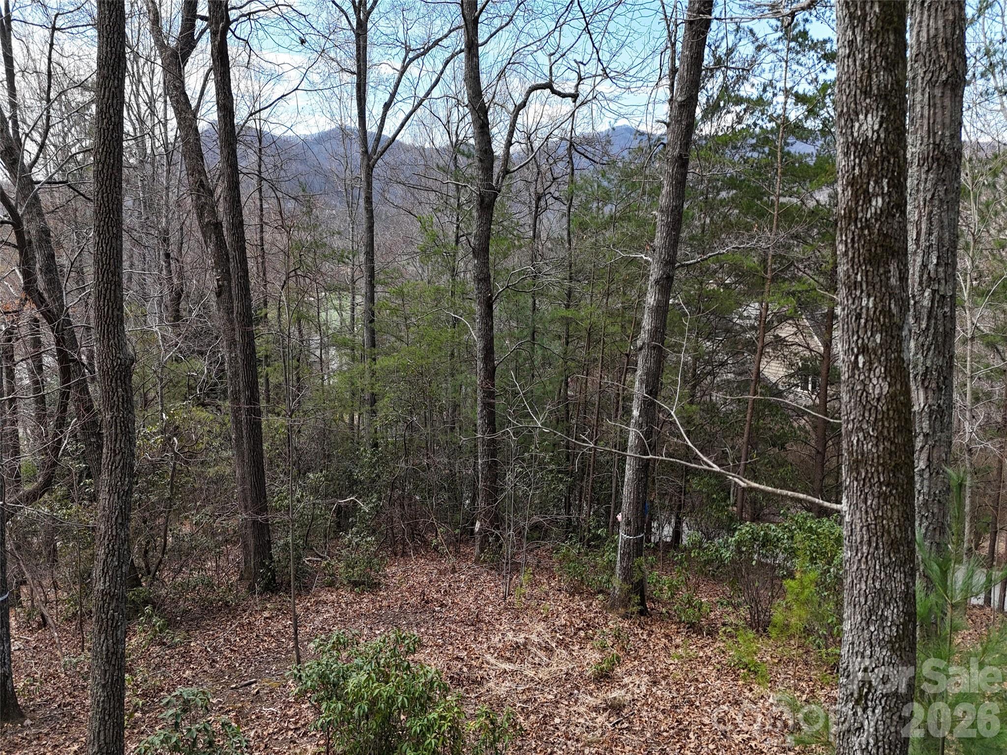 The Cliffs At Walnut Cove - Land