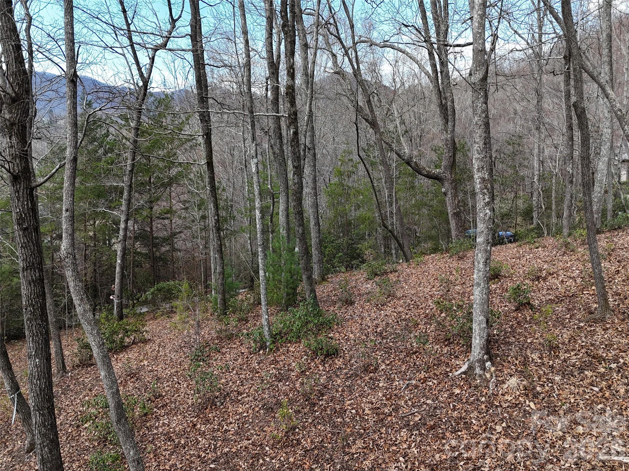 The Cliffs At Walnut Cove - Land