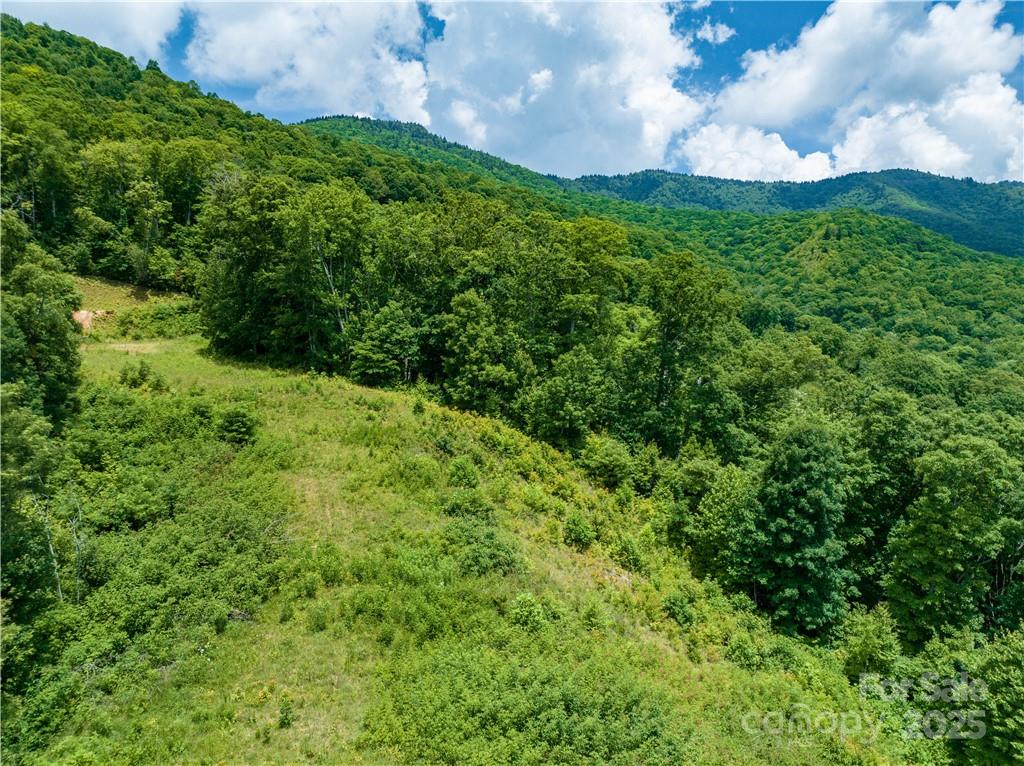 Sylva Vista Development - Land