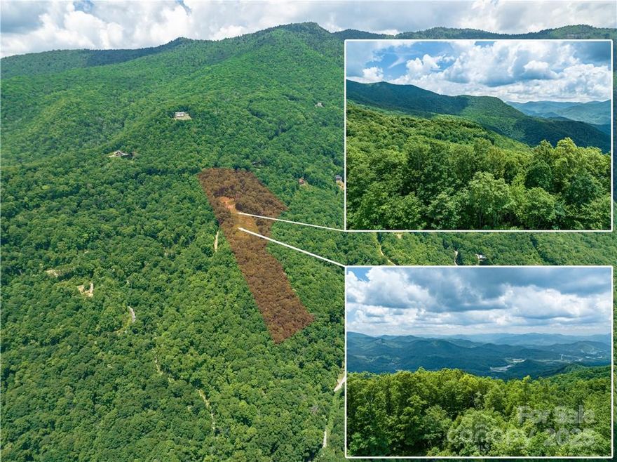 Multiple build sites and huge views from this 11.84 acre parcel.  The terraced terrain allows for easy building with a brand new driveway cut in and power on site. This high elevation, big view, property offers a highly desired SE to SW exposure within the fabled Plott Balsam Mountain Range. Choose your homesite location to build the mountain estate you've been searching for. This offering is located within the Sylva Vista Community consisting of mostly large lots with commanding long range views. This gated and private community is surrounded by the Sylva Watershed, Nature Conservancy and USFS Land. Seller has several other lots available to combine with this sale if interested. See MLS 3858768 for the master listing.