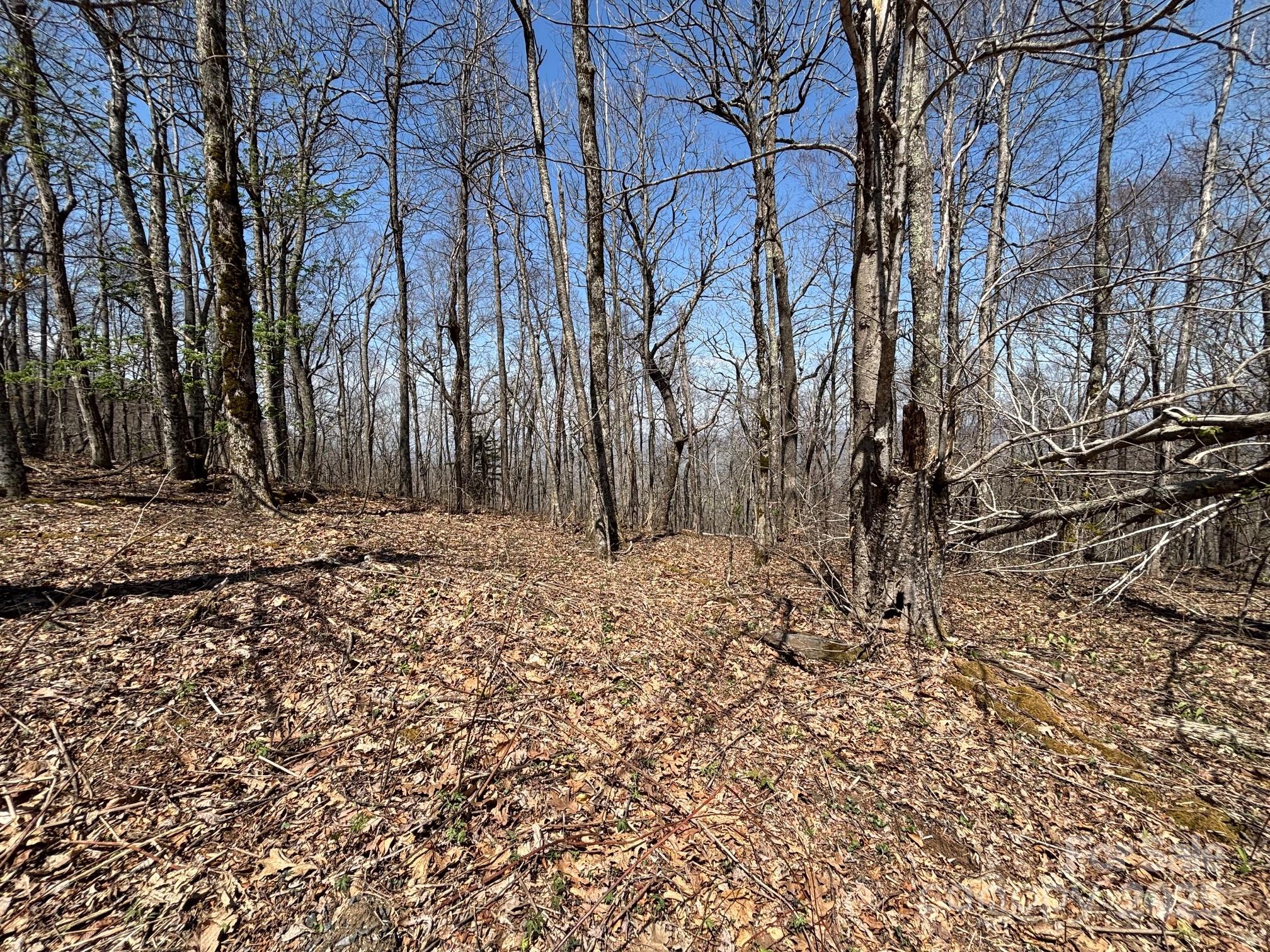 TBD Arrowhead Ridge Road