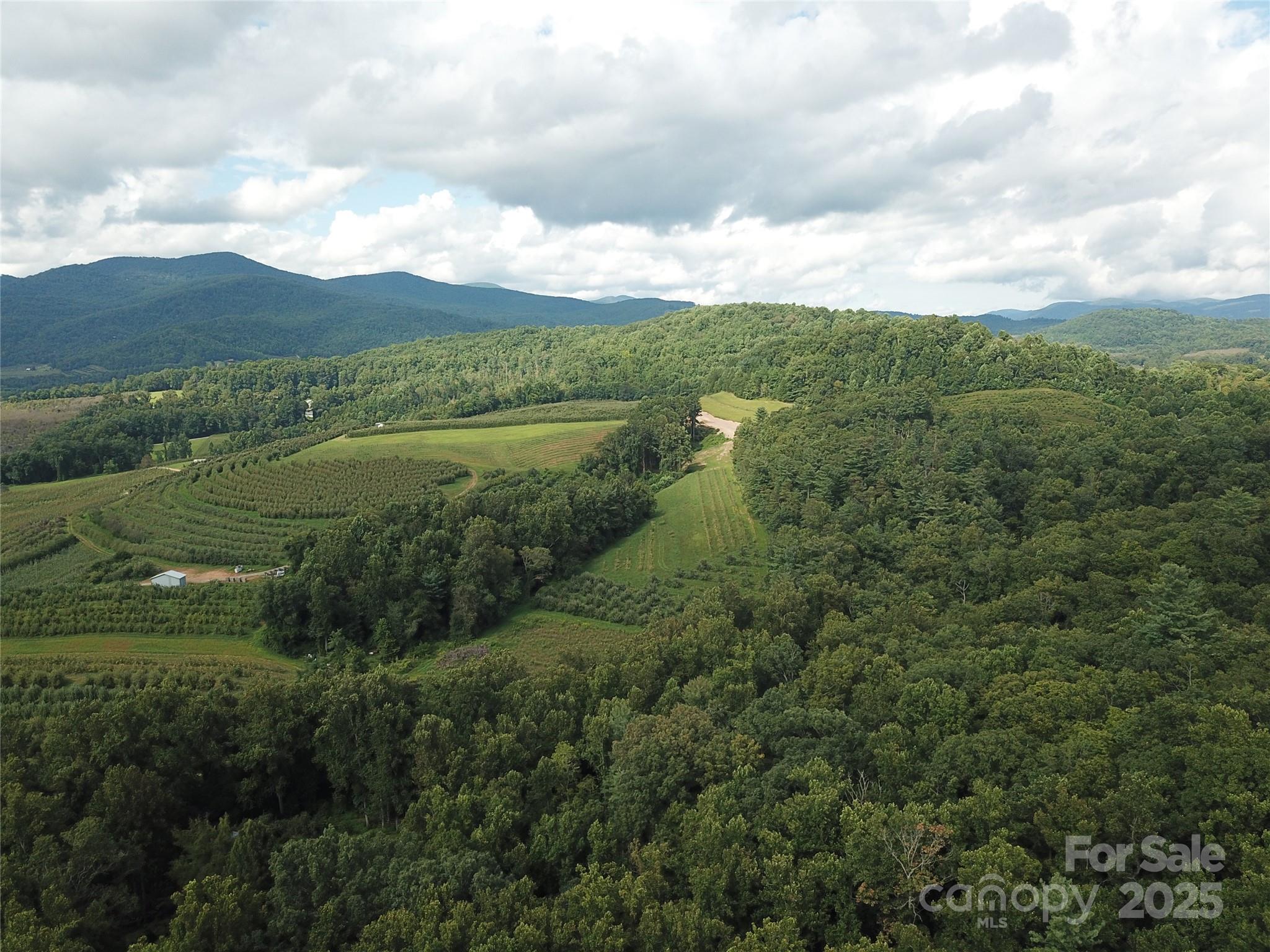Bearwallow Glen - Land
