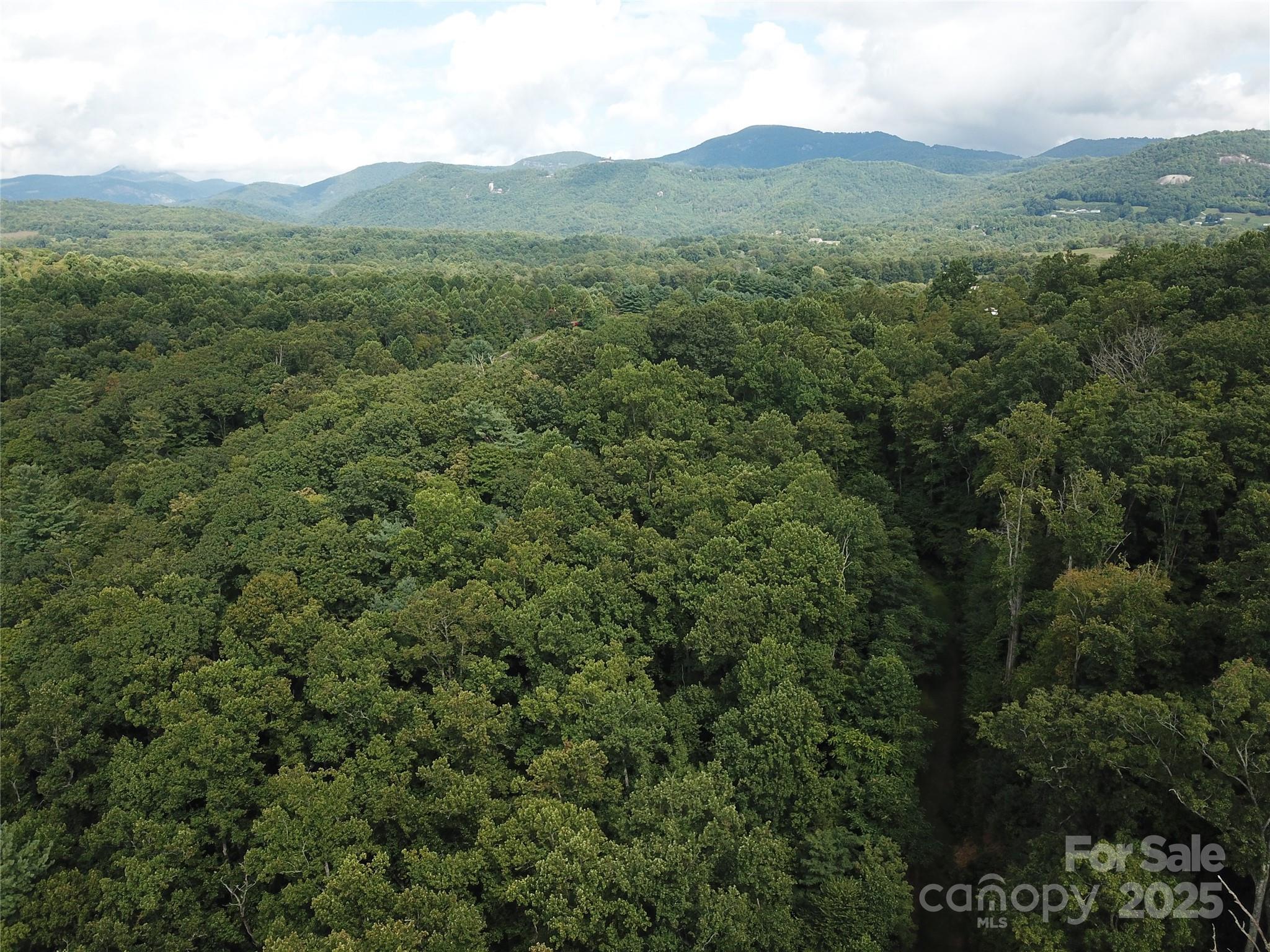 Bearwallow Glen - Land