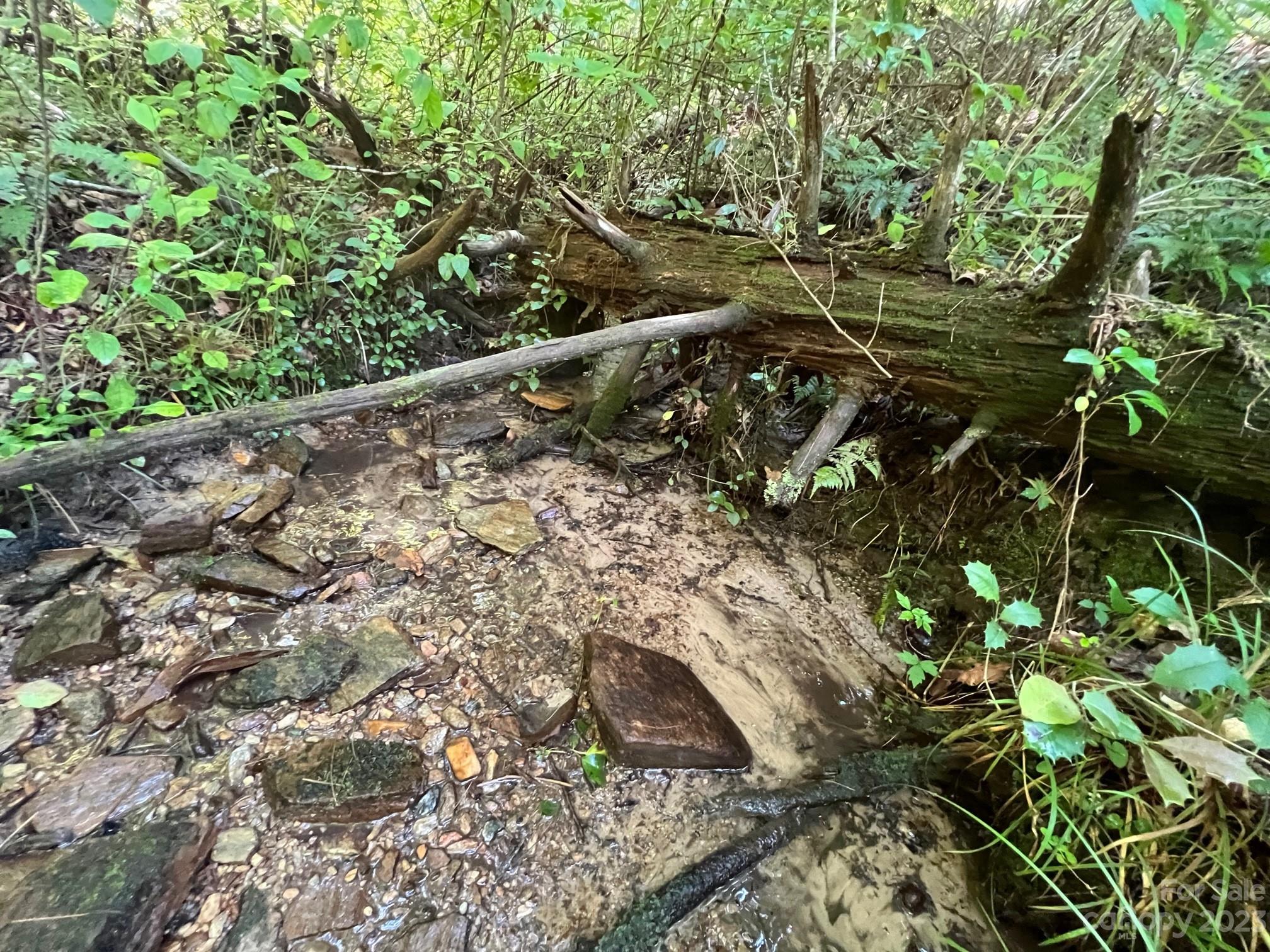 Round Mountain - Land