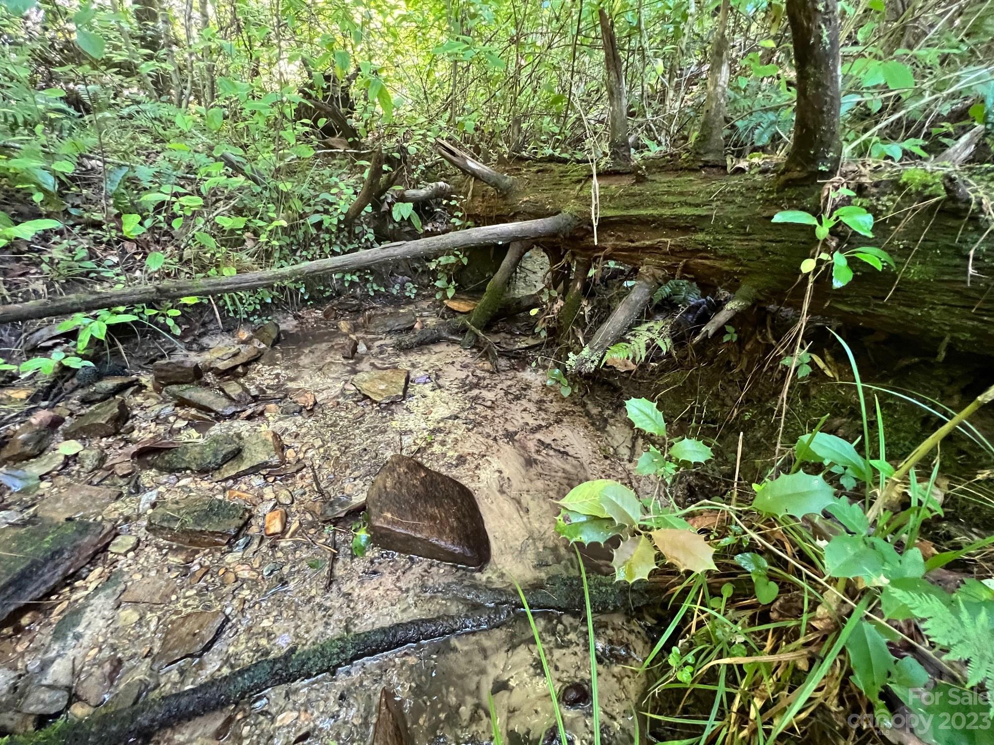 lot 24 Round Mountain Road 24