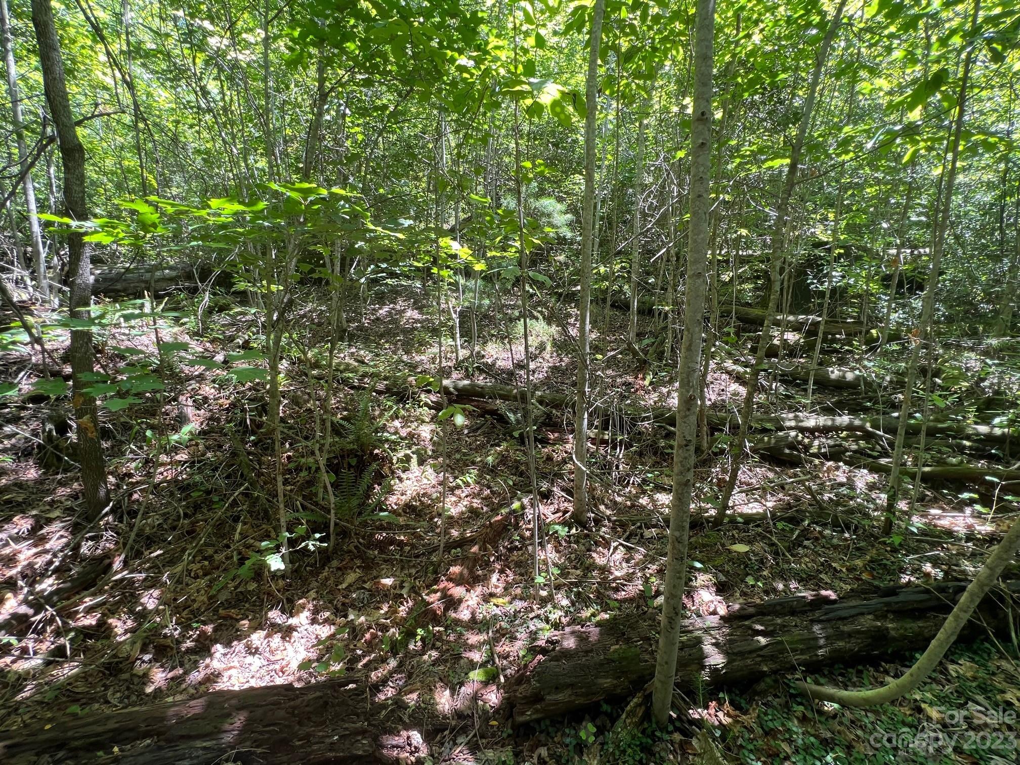 Round Mountain - Land