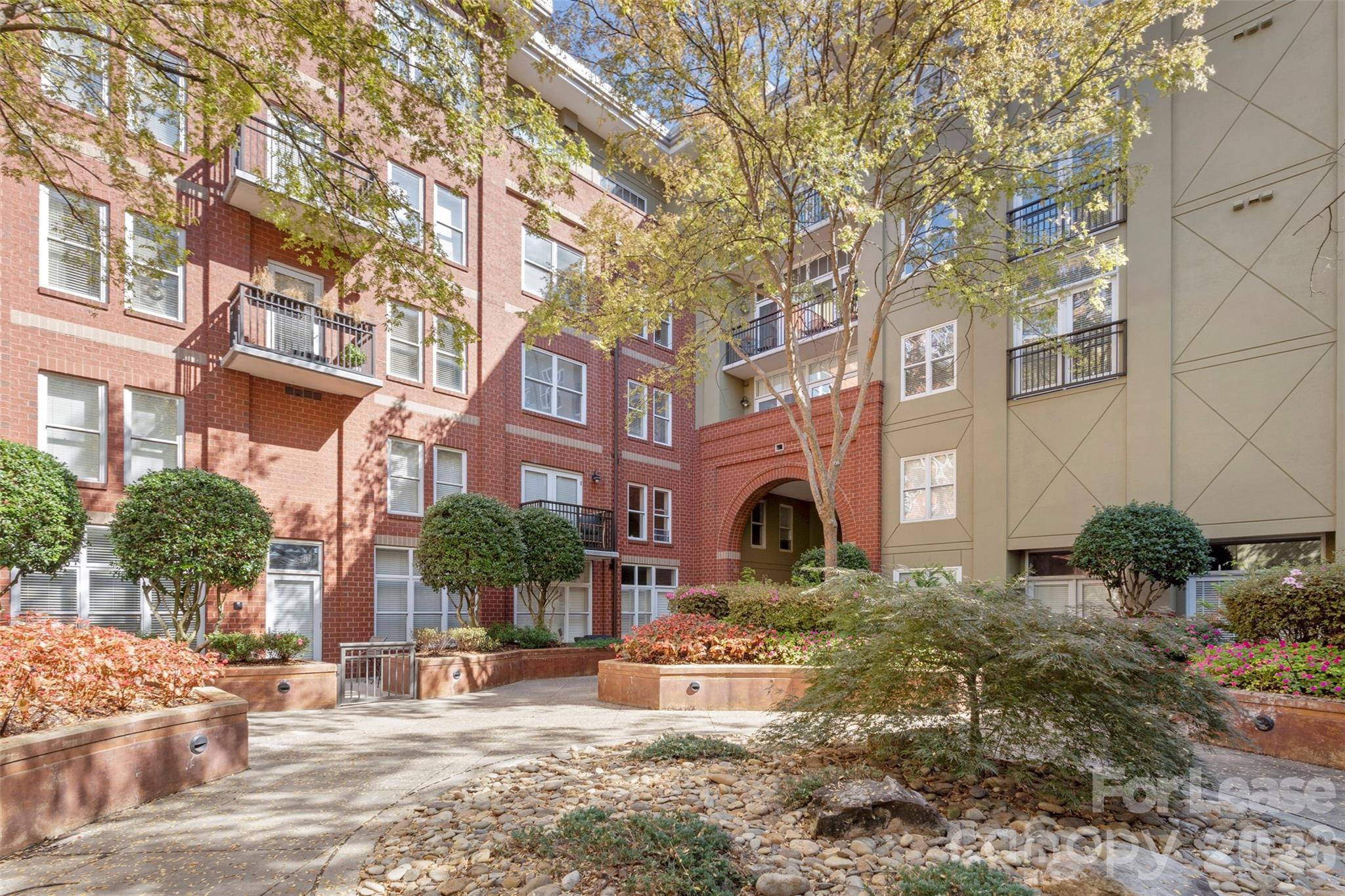 Dilworth - Residential Lease