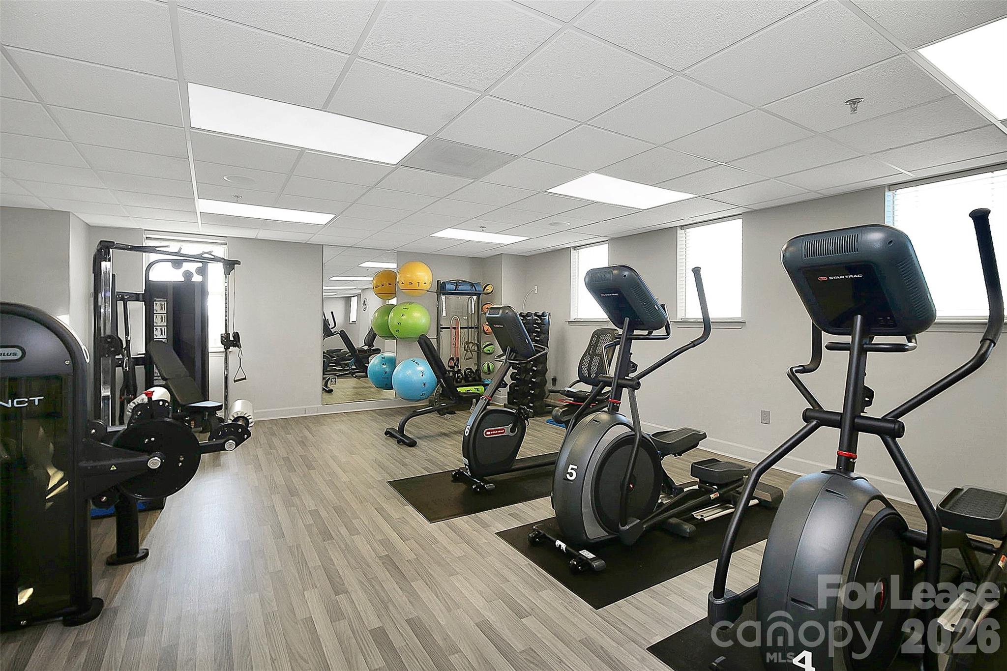 Dilworth - Residential Lease