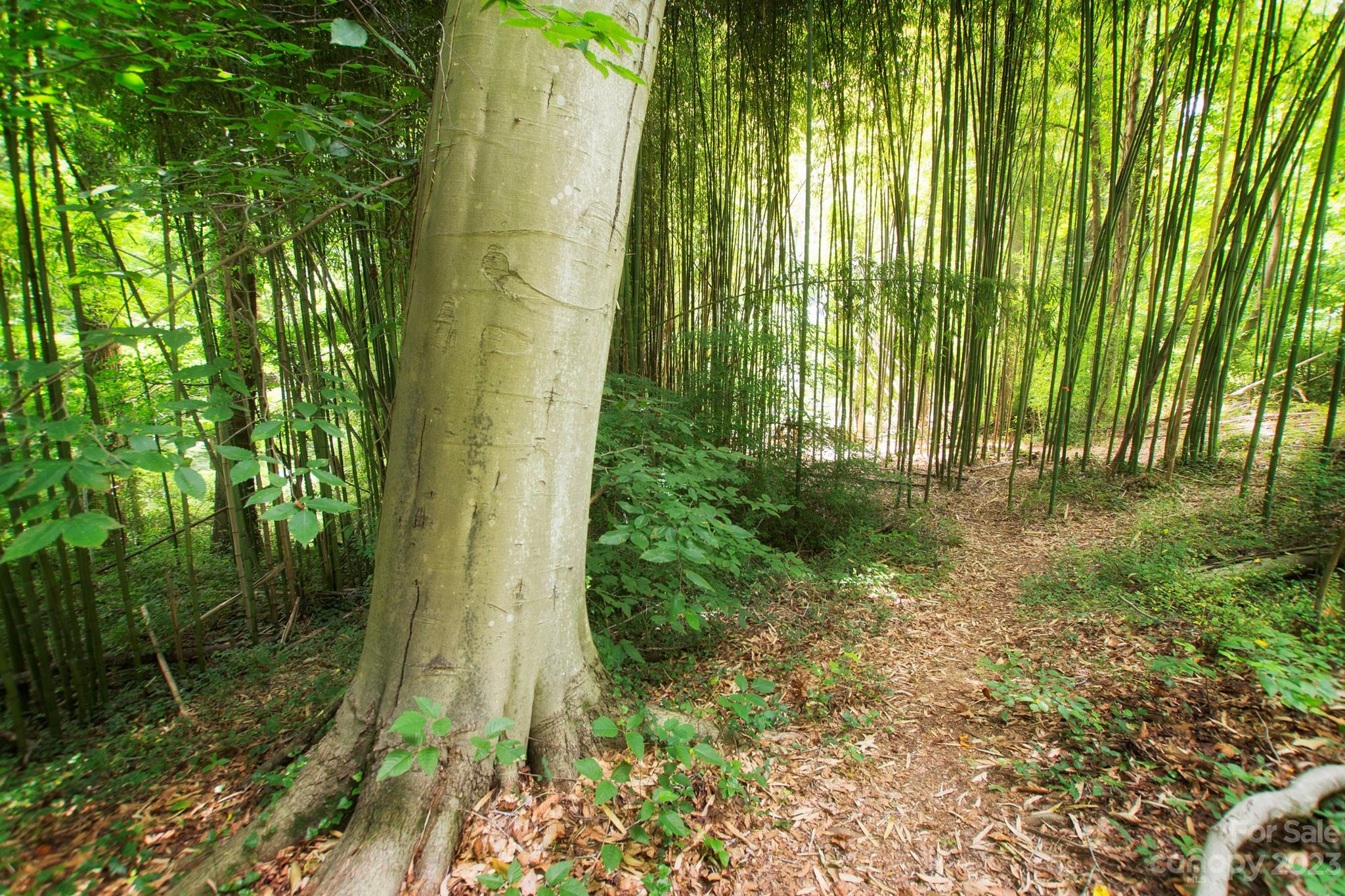 Craggy Park - Residential