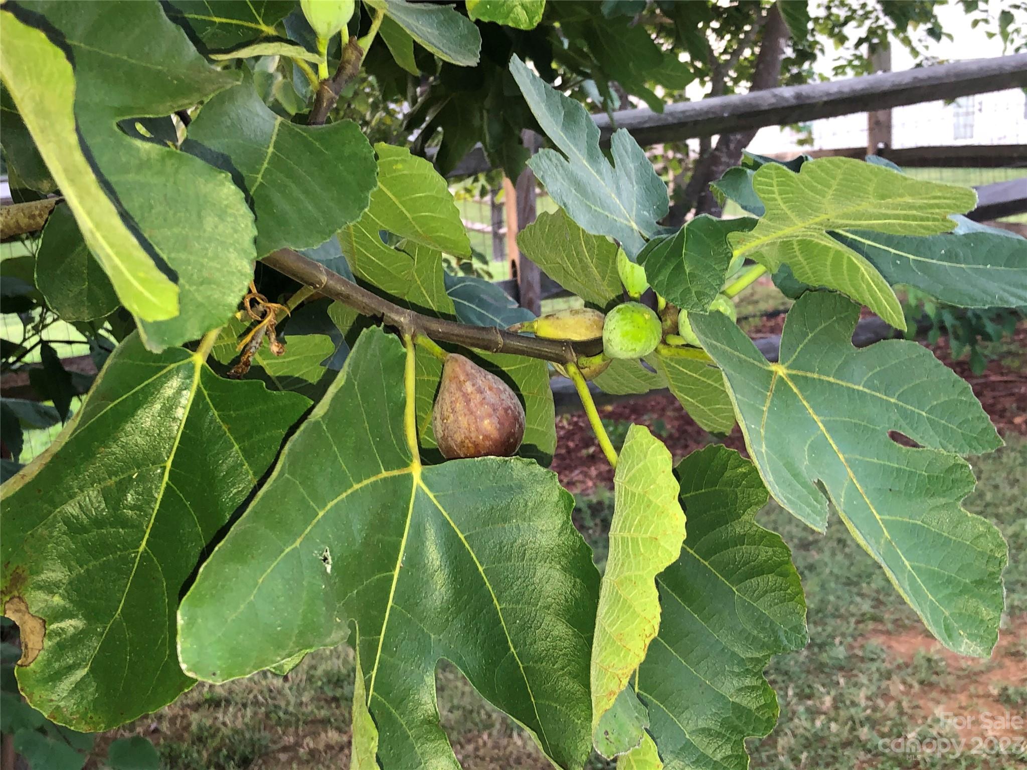 Cornerstone - Residential