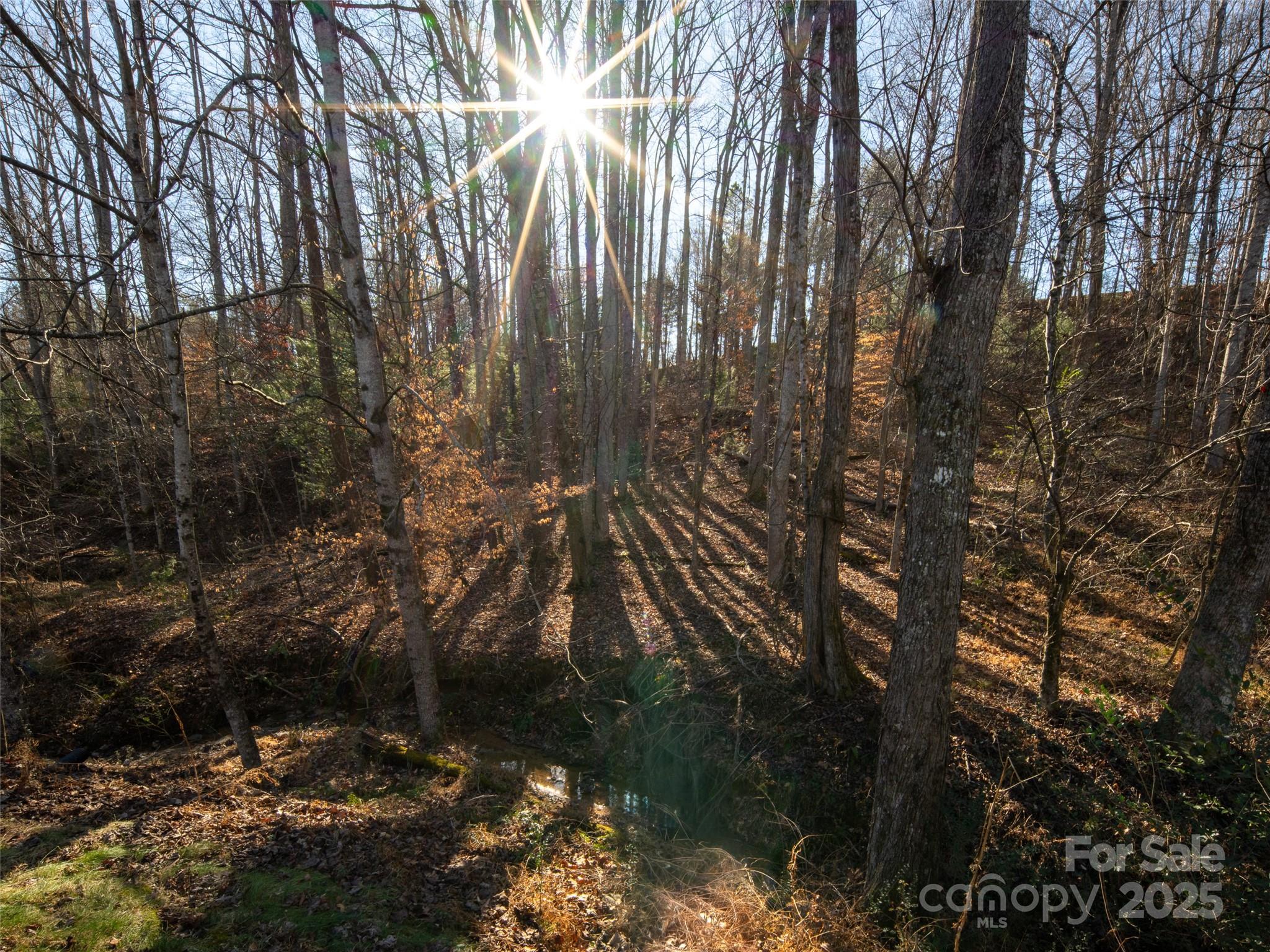 Biltmore Lake - Residential