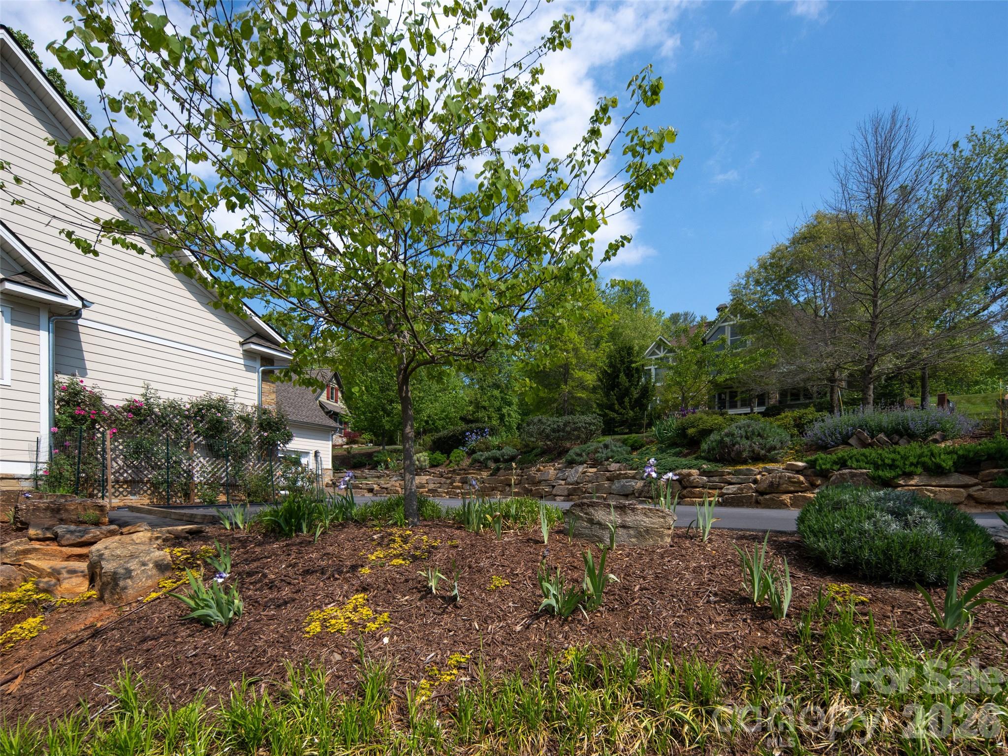 Biltmore Lake - Residential