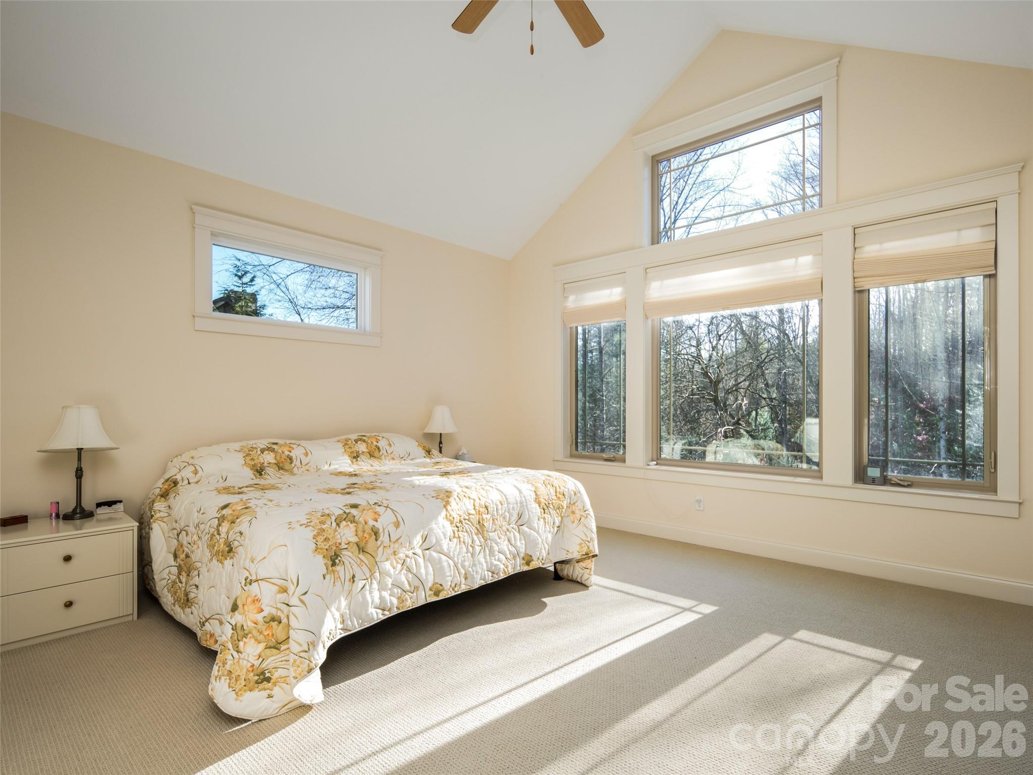 Biltmore Lake - Residential