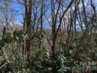 Mountain Retreat - Land