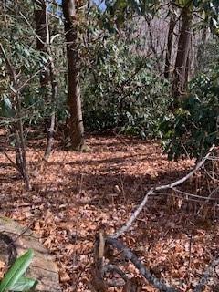 Mountain Retreat - Land