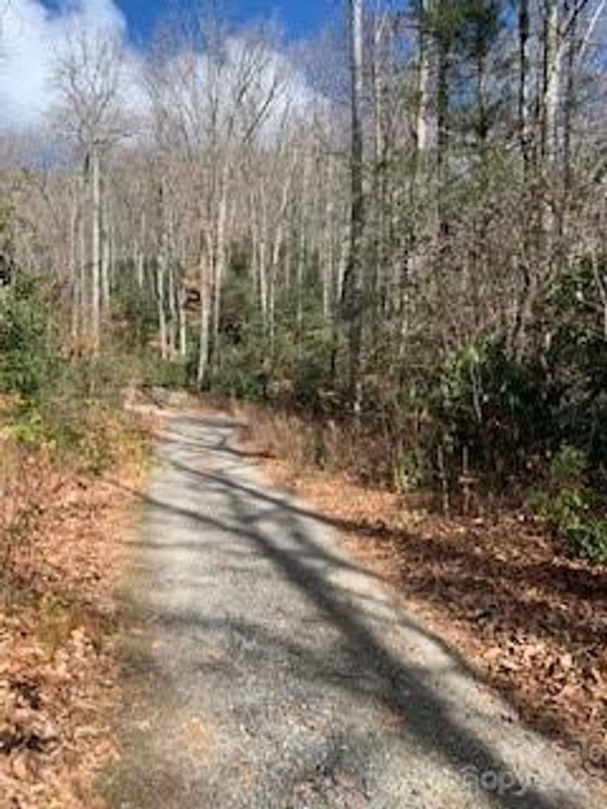 Relatively flat lots near several trailheads. Outside Montreat town limits. Public water is available, but septic is needed. A small creek runs through 2 of the lots. A road easement bisects the third lot. Acreage is an estimate - No Survey. PIN is for four lots, but one is in the conservation easement and will not be sold.