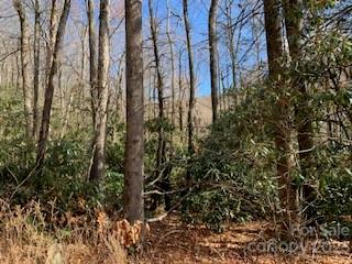 Mountain Retreat - Land