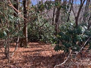 Mountain Retreat - Land